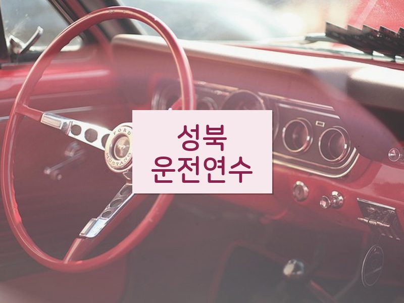 성북운전연수 후기