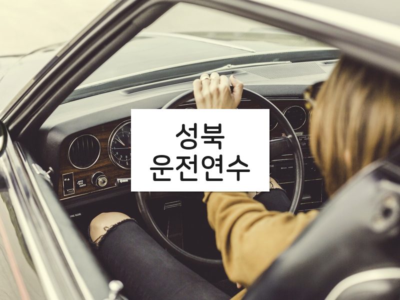 성북운전연수 후기