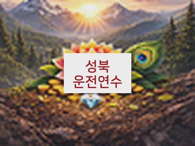 성북운전연수 후기