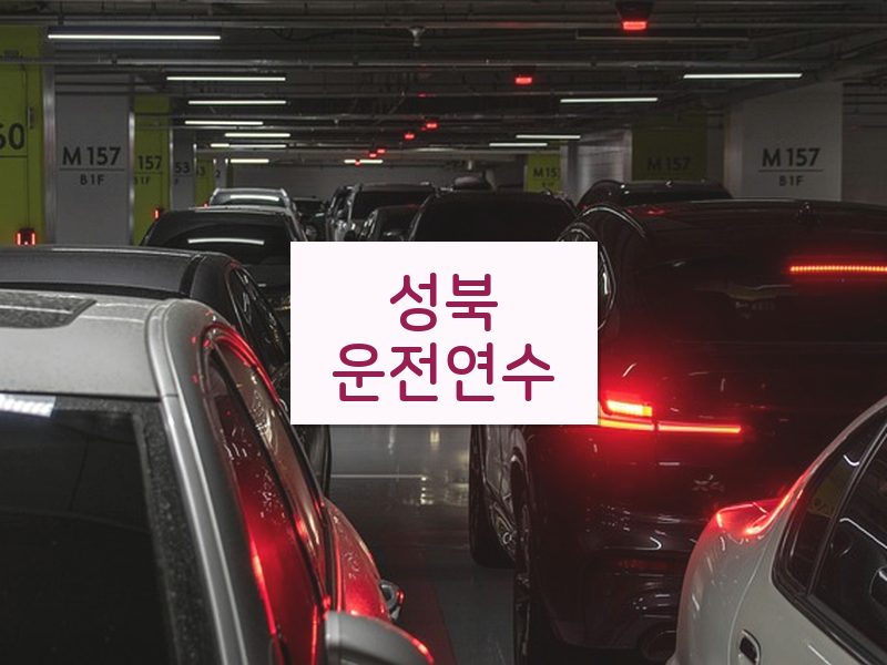 성북운전연수 후기