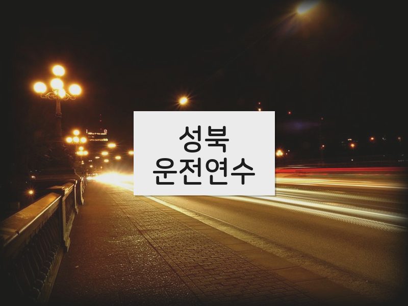 성북운전연수 후기
