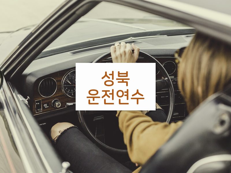 성북운전연수 후기