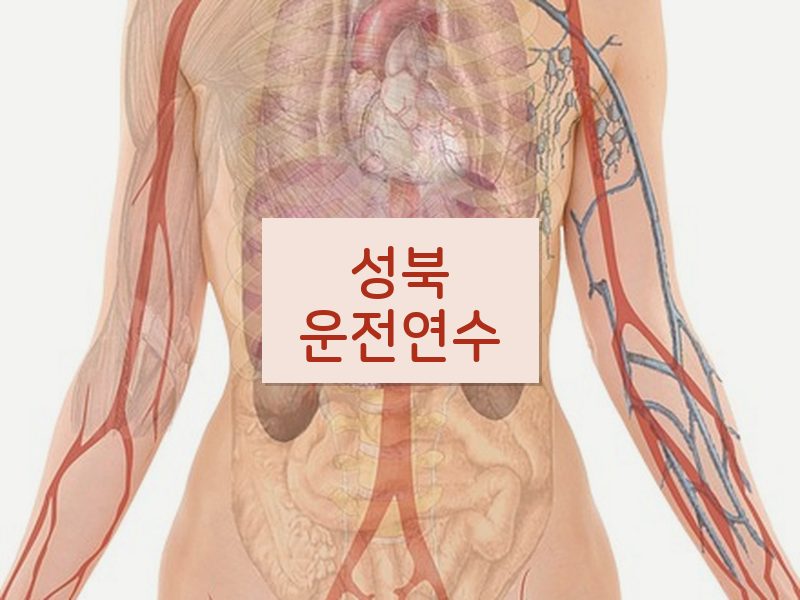 성북운전연수 후기