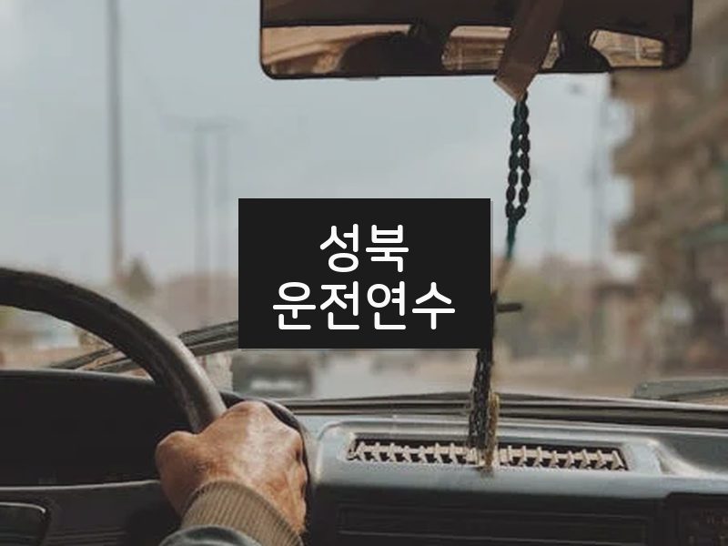 성북운전연수 후기