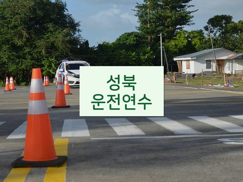 성북운전연수 후기