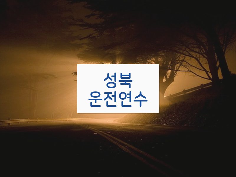 성북운전연수 후기