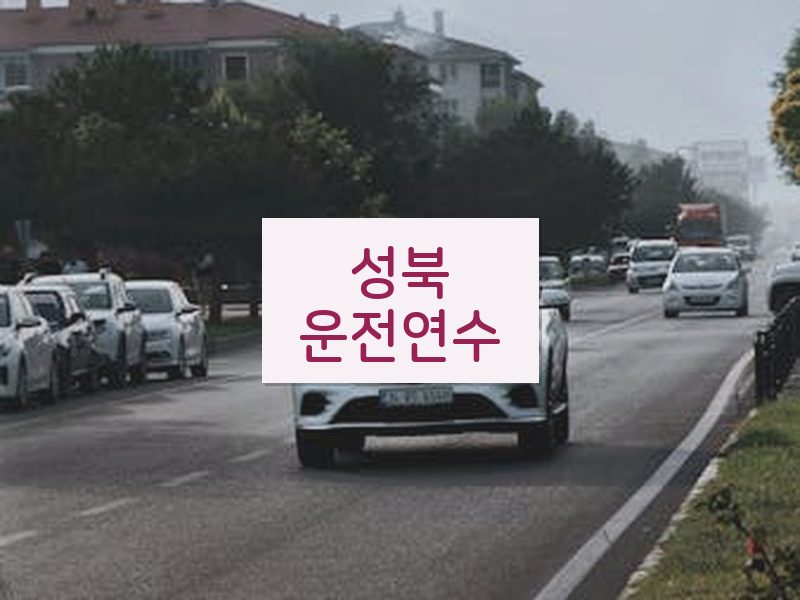 성북운전연수 후기