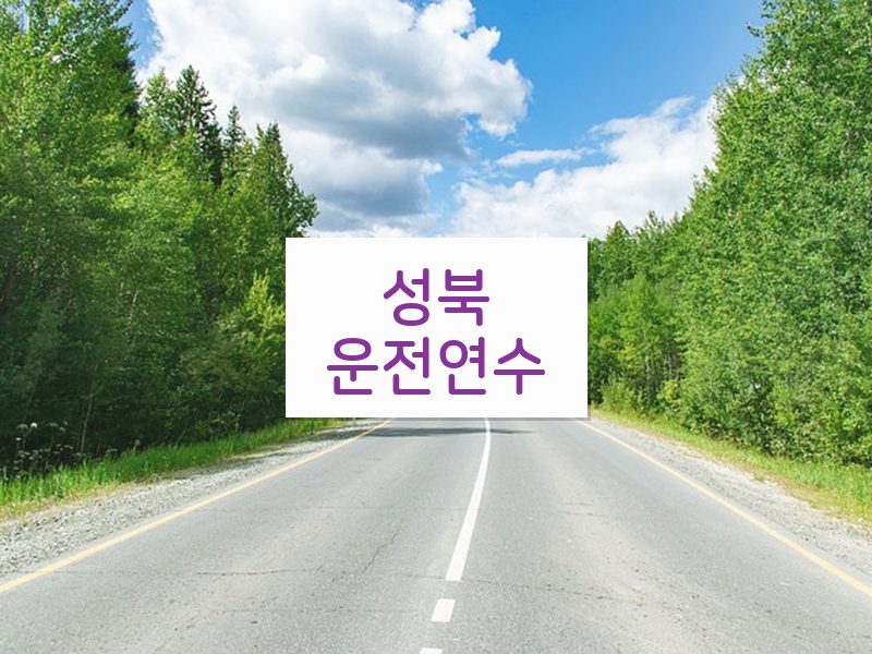 성북운전연수 후기