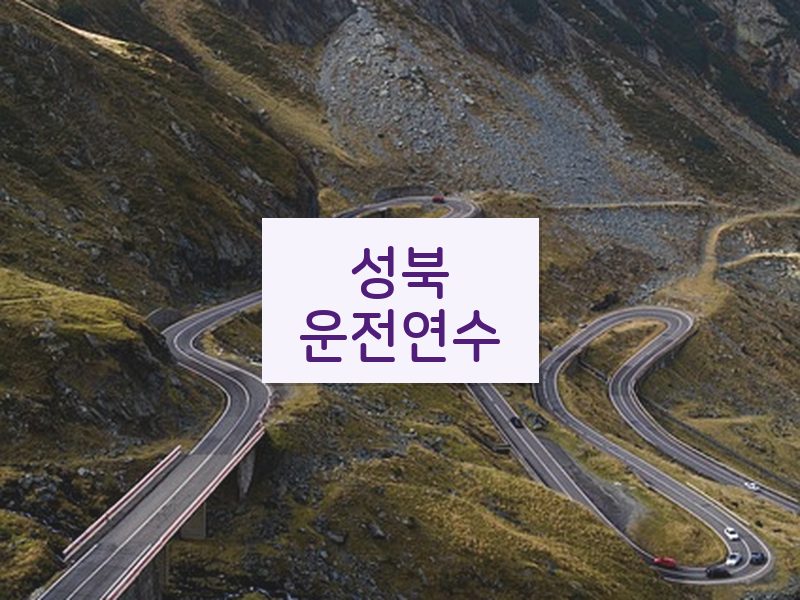 성북운전연수 후기