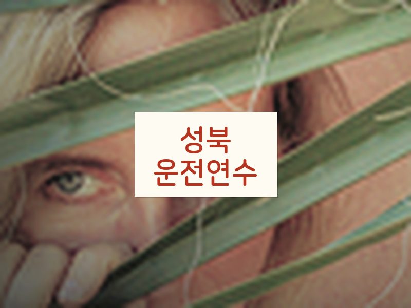 성북운전연수 후기