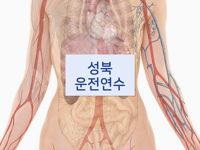 성북운전연수 후기