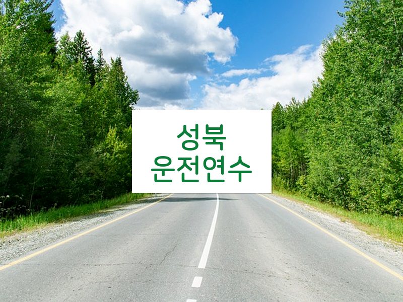성북운전연수 후기