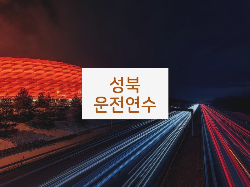성북운전연수 후기