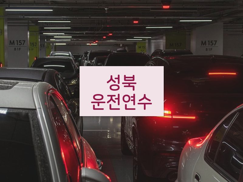 성북운전연수 후기
