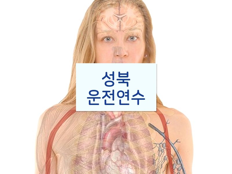 성북운전연수 후기