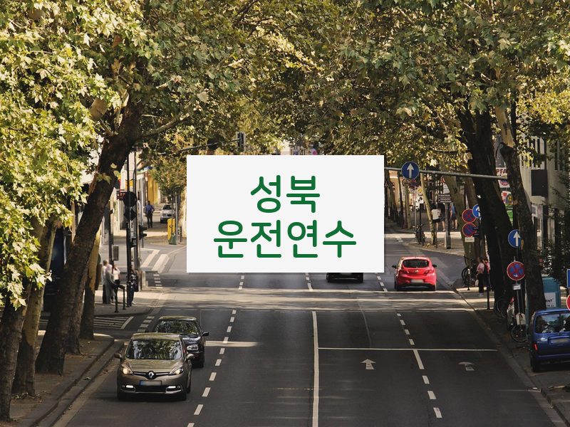 성북운전연수 후기