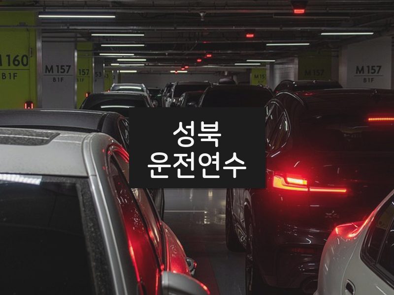 성북운전연수 후기
