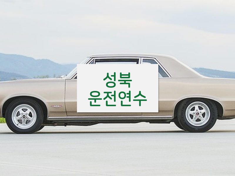 성북운전연수 후기