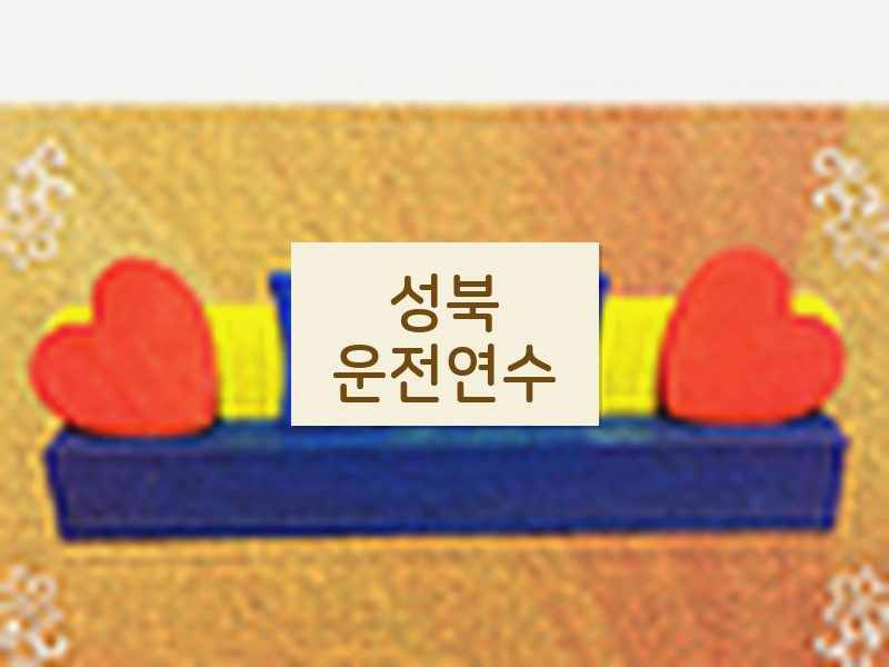 성북운전연수 후기