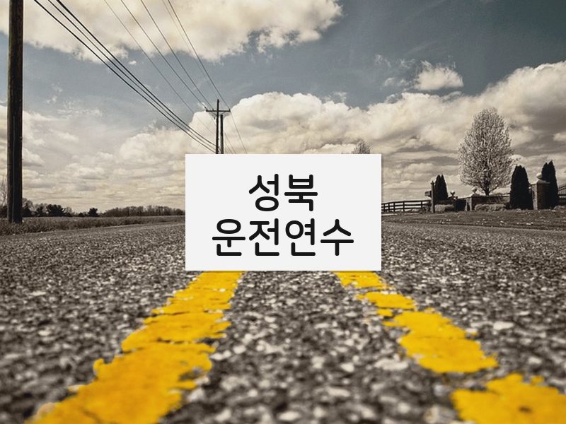 성북운전연수 후기