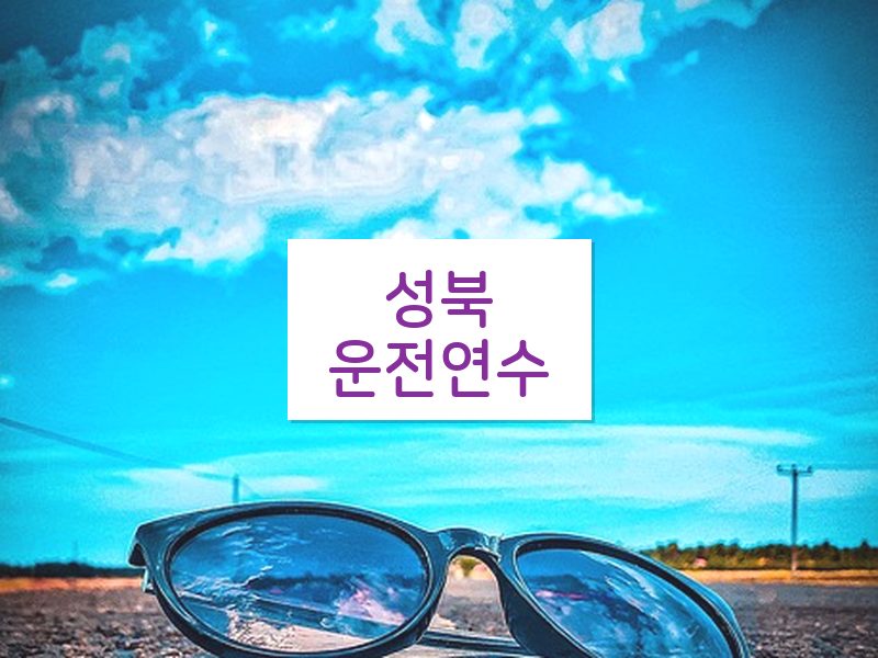 성북운전연수 후기