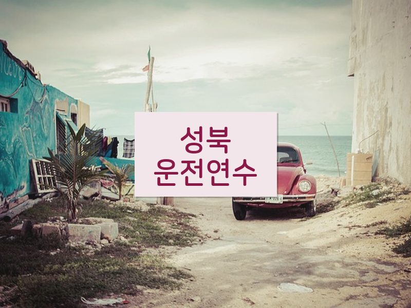 성북운전연수 후기