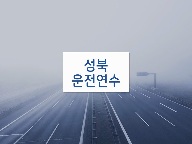 성북운전연수 후기