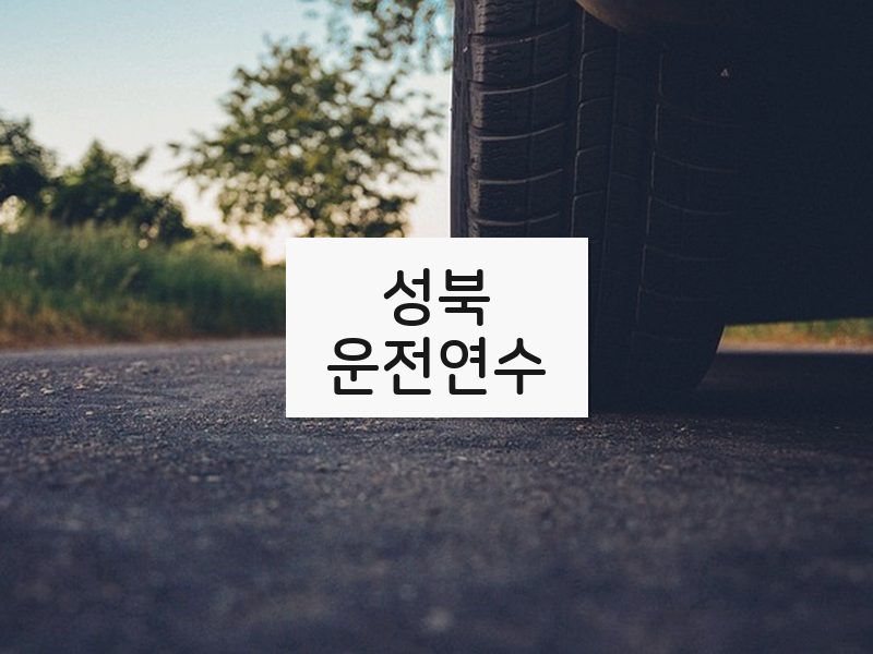 성북운전연수 후기