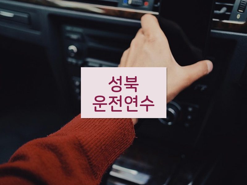 성북운전연수 후기