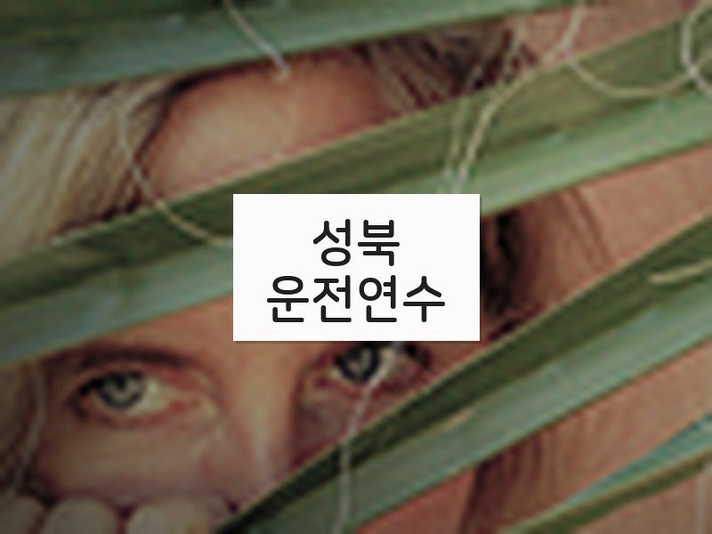 성북운전연수 후기