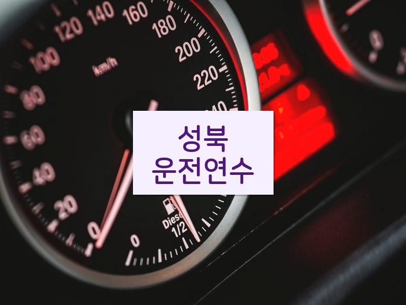 성북운전연수 후기