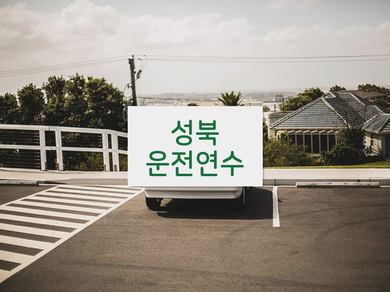 성북운전연수 후기