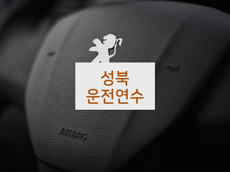 성북운전연수 후기