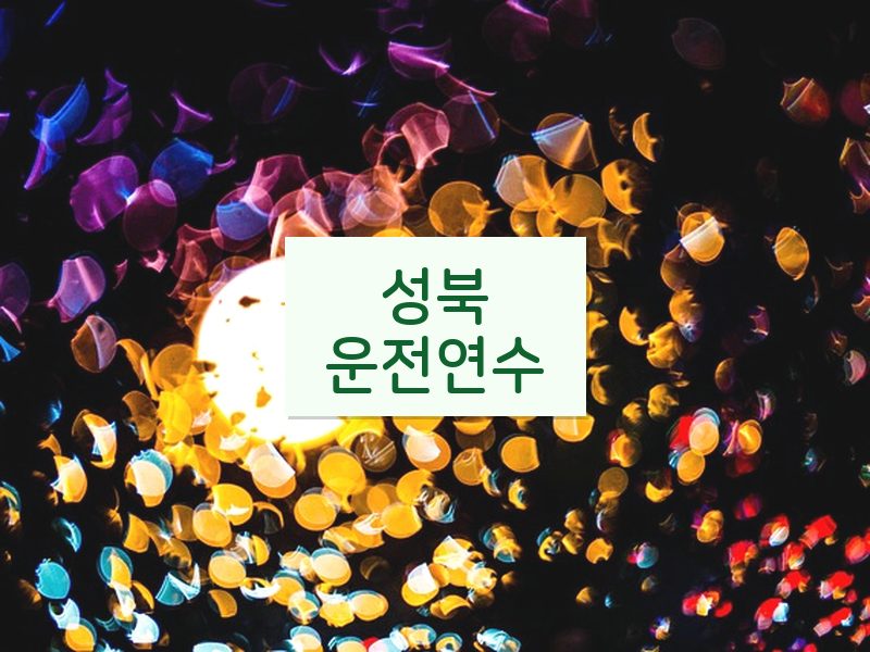 성북운전연수 후기