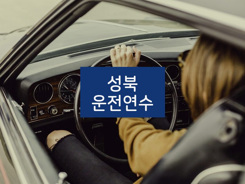 성북운전연수 후기