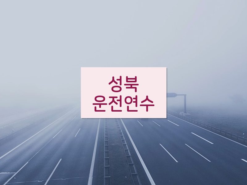 성북운전연수 후기