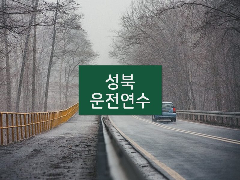 성북운전연수 후기
