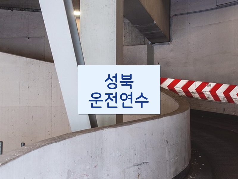 성북운전연수 후기