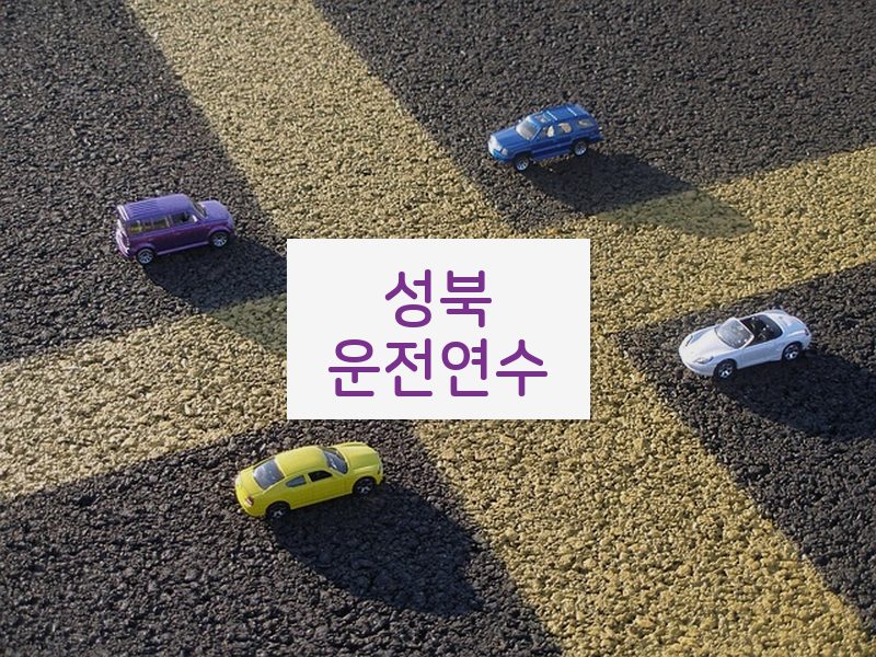 성북운전연수 후기