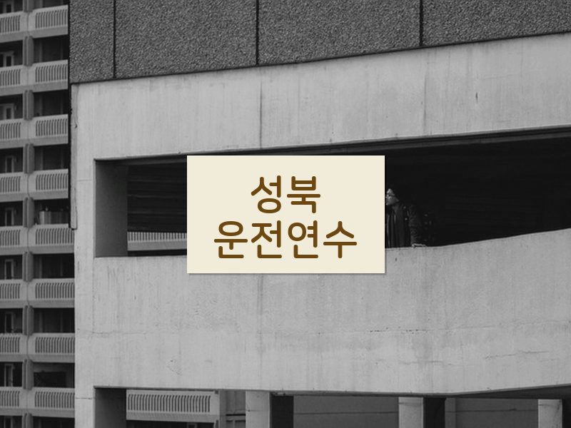 성북운전연수 후기