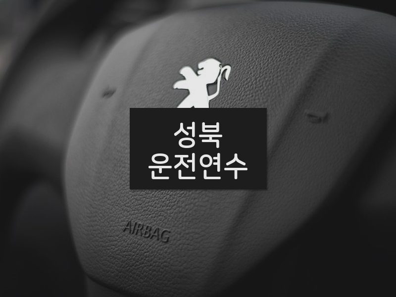 성북운전연수 후기