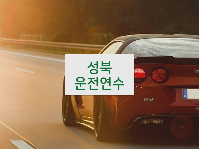 성북운전연수 후기