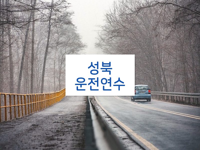 성북운전연수 후기