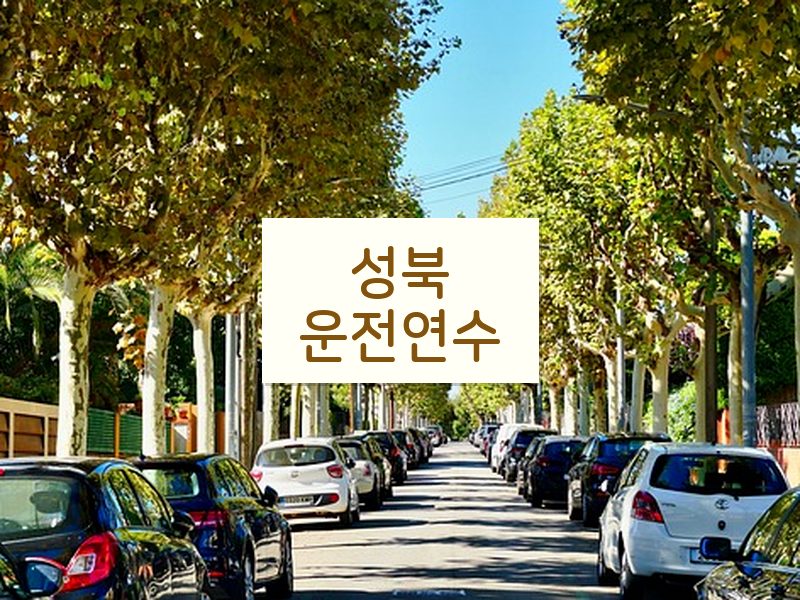 성북운전연수 후기