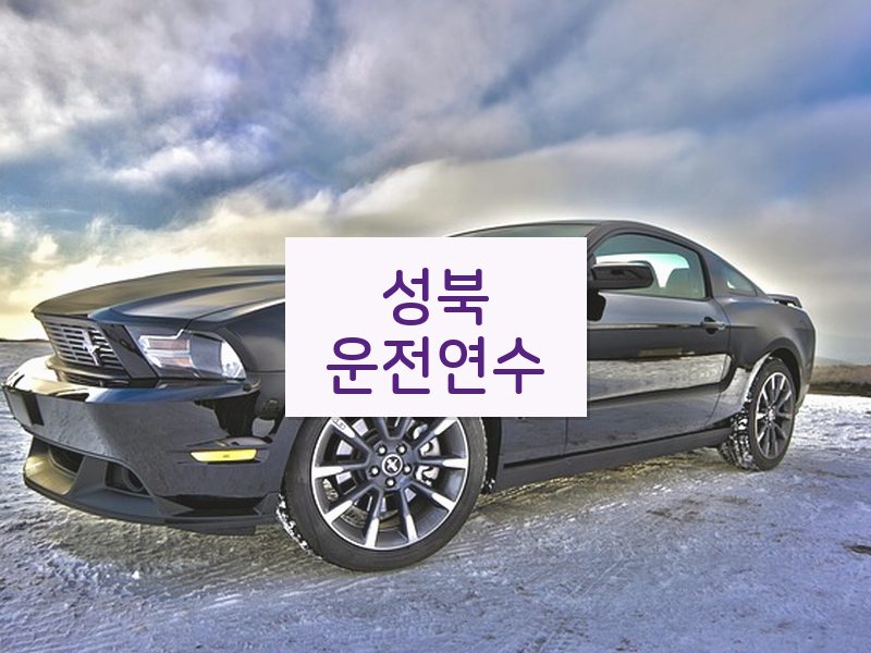 성북운전연수 후기