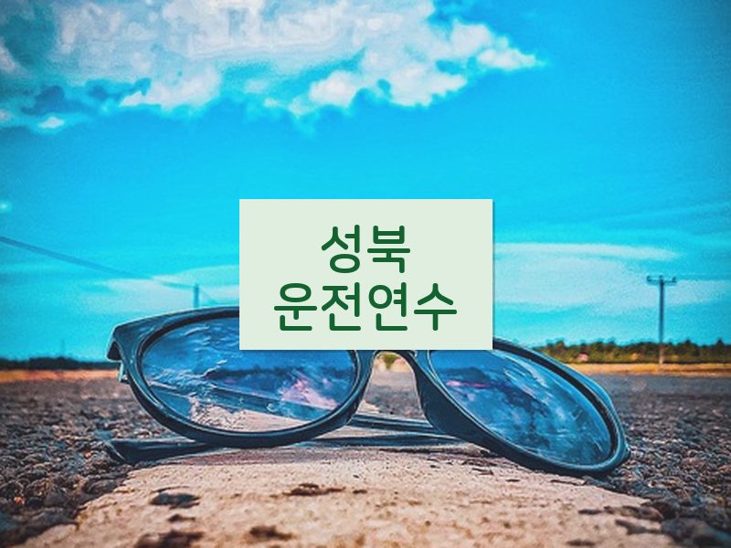 성북운전연수 후기