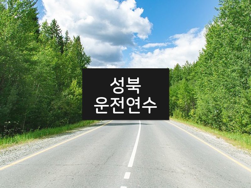 성북운전연수 후기