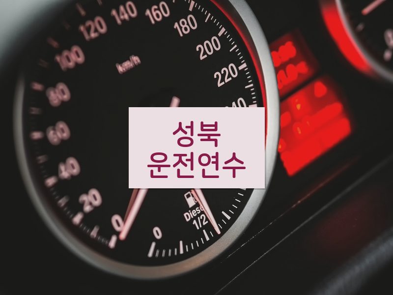 성북운전연수 후기