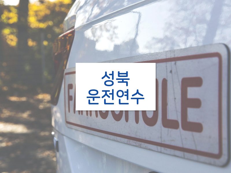 성북운전연수 후기