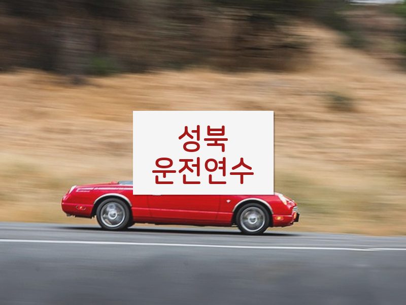 성북운전연수 후기